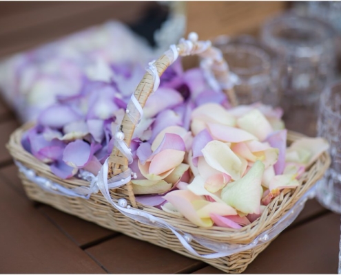 Hochzeitsfotograf-Freihof-Prichsenstadt_0051 Freie Trauung unter der Trauerweide beim Freihof in Prichsenstadt