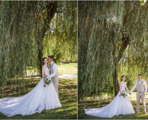 Hochzeitsfotograf-Freihof-Prichsenstadt_0097 Brautpaarfotos unter der Trauerweide im Freihof in Prichsenstadt